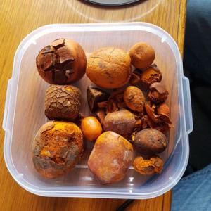 Ox/Cattle Gallstones Available for Sale Now - stone rock we offer for sale 100% dry quality ox/cattle gallstones and the price depends on the ratio of whole stone / broken stone.--features---- yellow golden-orange color--- stones with a low specific weight--- large stones;--- bilirubin content not less than 35%;----the gallstones are traded in the followi