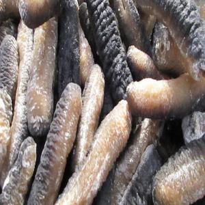  Concombre De Mer Vendre - fruits secs et graines grillées nous disposons de concombre de mer séché d'excellente qualité à vendre à partir du cameroun--nous contacter si intéressé 