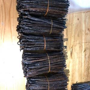  Quality Vanilla Beans Available In Bulk - other would you like to import vanilla beans from madagascar . we provide high-quality vanilla beans from the island country of madagascar at the best price and good quality also per your request for customers who want to start import,  we can supply any quantity,  don't hesitate to contact us for more deta