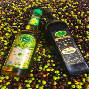  Huile D'olive Vierge Et Extra Vierge Algérienne - huiles bonjour,  --huile d'olive vierge et extra vierge d'origine algérienne de la kabylie,  de grande qualité,  100% pure,  extraite à froid en bouteille de 500 cl,  750 cl,  bidon de 3 l.--merci de nous contacter.