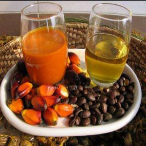  Huile De Palme Et Palmiste Disponible - huiles bientôt démarrera la nouvelle saison du palmier au bénin.profiter pour fait vos commandes et obtenez les meilleurs prix d'huile de palme et de palmiste chez nous. nous pouvons livrer partout au monde.merci