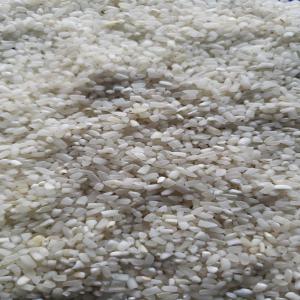  Riz Indien Pour Exportations Régulières - céréales pret pour l'exportation / riz cassé à grains longs blanc / riz - parimal indien / de 5%,  15%,  20% et 100% de grains cassés / emballage - bopp sacs de 50 kg / quantité minimum de commande - 500 tonnes / qualité à certifier par - sgs / prix très raisonn