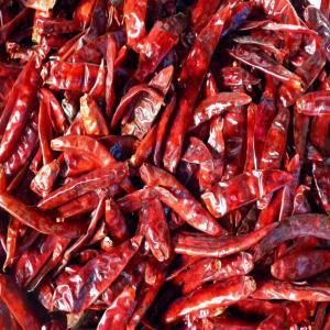  Piment De Type Cayenne - fruits et légumes bonjour aux partenaires----nous disposons d' une importante quantit&eacute; de piment de type cayenne tr&egrave;s piquant que nous mettons.  aussi nous sommes &agrave; la recherche d'un partenaire exportateur financier pour agrandir notre champ de production dudit produit.  merci de nous contacter. 