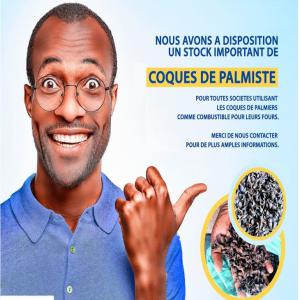  Amandes De Palmiste - fruits secs et graines grillées contactez nous pour tous besoins en coques de palmiste. nous en disposons en grande quantit&eacute;--produits de qualit&eacute; pour alimenter vos fours.