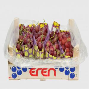  Raisin - fruits et légumes saison de raisin - juin-juillet-août-septembre-octobre-novembre-décembre-janvier / capacité de production - 480 tonnes / semaine en saison