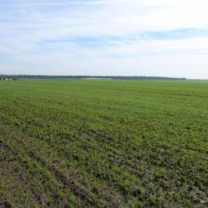  Location De Terrain Agricole - mine terrain concession je suis a la recherche d un investisseur ou bien société pour location d un terrain agricole,  (2000 hectares et 4000 hectares) avec dossier complet,  je répondrai qu a l intéressé ou bien intermédiaire direct avec lui,  les non sérieux s abstenir,  merci