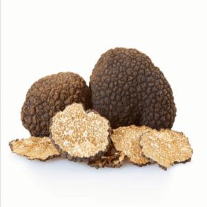  Vente Truffe Aestivum - champignon levure truffe d'été -  chausseur de truffe  fraîche sauvage,  je cherche des clients pour la saison estivale (mai-septembre). possibilité de grandes quantités  à la semaine. produits frais,  de qualité,  parfumés. contactez moi pour plus de renseignements