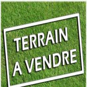  Vente Et Location De Terrains - mine terrain concession nous avons des terrains favorables pour agriculture et élevage.--superficies- jusqu'à 3000ha.--zone- bouaflé,  dimbokro--les terrains sont en vente et en location et sont disponibles avec attestation villageoise,  certificats fonciers,  plan de site et procès verbal.--contac