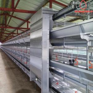  Poultry Laying Cages Equipment - machinery equipment we are imports of poultry  in pakistan . we  are buying poultry cages and sale pakistan &. especially   buy. second hamd used      battery  layer cages .and other poultry equipment s