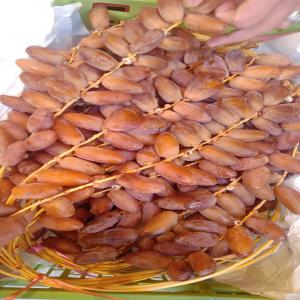  Dattes Bio Deglet Nour D'algerie - fruits et légumes nous mettons en vente l'authentique datte de la variété deglet nour d'algerie ,  des dattes bio non traité et stocké selon l'énorme et la règle de l'art ,  pour plus de contacte veuillez nous contacté ; merci.