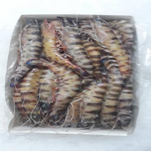  Crustaces Congelés Bord - coquillage crustacé poissons frais et fruits de mer frais disponibles sur dakar. --fruits de mer congelés a bord, disponible.