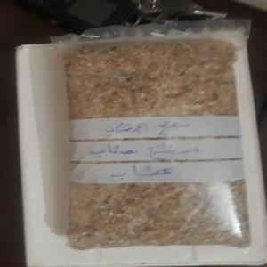  Cacahuètes, Graines De Pastèque, Gomme Arabique, - fruits secs et graines grillées cacahuètes,  graines de pastèque,  gomme arabique,  sésame blanc (bio)production soudanaise,  nous avons des quantités provenant du soudan (des échantillons sont disponibles sur demande.