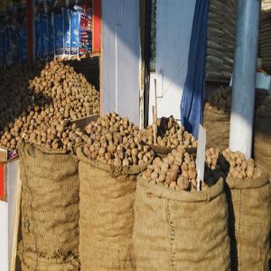  Noix Naturelles Avec Ou Sans Coque - fruits secs et graines grillées notre noix est un fruit à coque oléagineux très énergétique. par rapport aux autres graines oléagineuses,  elle se caractérise par sa richesse en acides gras polyinsaturés,  comportant l'apport le plus élevé en oméga-3. la no
