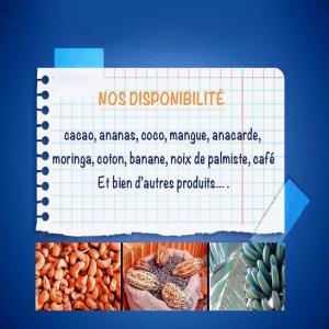  Produits Tropicaux Disponibles - café cacao thé siin vous propose des produits tropicaux &agrave; la hauteur de vos attentes.--nous pouvons en citer quelques uns-- cacao-- caf&eacute;-- ananas-- coco-- mangue-- anacarde -- moringa-- coton-- banane-- noix de palmiste--et bien d'autres--contactez nous pour plus d'informations