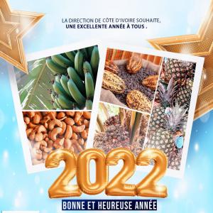  Palm Hulls Amande De Palmiste - bois charbon fibre une entreprise sérieuse avec toutes les documentations à jour pour une collaboration à long terme dans le domaine agricole principalement la commercialisation des coques /amandes de palmiste.--que vous soyez en amérique,  l'europe,  l'asie,  l'afrique,  l'océanie et l'