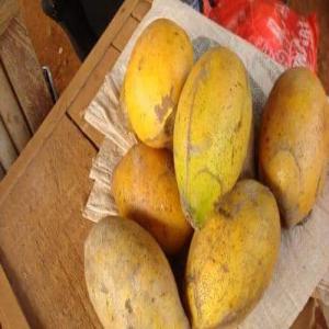  Recherche Revendeur - café cacao thé je produit de la poudre de graine de picralima nitida ( kinkeliba).je recherche des revendeurs partout dans le monde