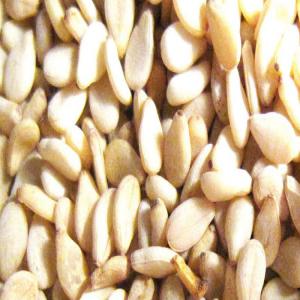  Sésame Blanc Et Doré - autres producteurs soudanais de sésame,  de cacahuètes,  et de gomme arabique de première qualité. --nous cherchons des clients et acheteurs de grosse quantité. --nous avons un siège à paris pour voir les produits . --