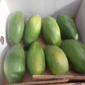  Vente De Papayes Solo - fruits secs et graines grillées nous sommes un groupe de personnes disposant 27 hectares de papayes solo de très bonnes qualités dans le centre du bénin et nous voulons livrés aux acheteurs sérieux