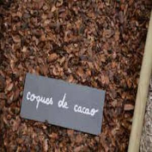  Vente De Coque De Cacao - fruits secs et graines grillées nous exportons des coques de cacao et divers --pour tout information nous vous demandons de nous contacter sur cet espace et sur mon contact 