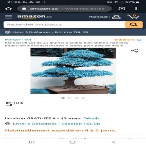  Recherche - café cacao thé le titre de votre recherche est tres important pour obtenir un referencement de qualité- exemple- vin francais rouge en destockage