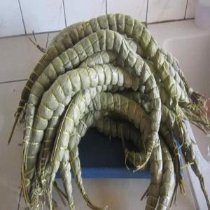  Bâton De Manioc, Tapioca, Farine, Manioc Sur - fruits et légumes bonjour --nous sommes situés à douala cameroon  nous vous fournissons tous les dérivés du manioc. ex-  bâton de manioc ,  tapioca , farine  etc..  --notre priorité-  la bonne qualité et le meilleur prix. 