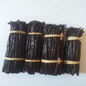  Vanilla Exportation Exportation Vanille - aromatic spices hello, --i sell  bourbon  vanilla from madagascar.----quality available- grade a (or gourmet) and tk.----13 - 14 - 15 - 16 cm +----quantity- ton possible----do not hesitate to contact me----good for you