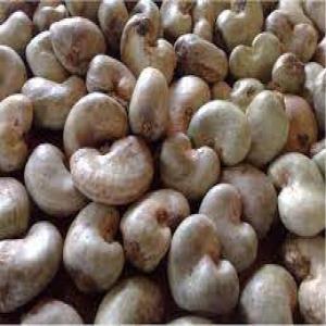  Recherche Clients Pour Graines De Soja - céréales mise en contact des fournisseurs de graines de soja,  et acheteurs.--les fournisseurs sont basés principalement au cameroun.--les produits disponibles - graines d'acajou,  soja,  huile de palme,  manioc (et ses dérivés telles que cossettes de manioc),  poivre blanc de penja,  ndolet. 