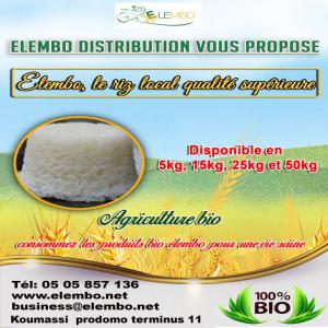  Agribusiness Et Stockage Des Aliments Du Terroir - fruits et légumes transformation des aliments du terroir ivoirien et vente des produits de l'agriculture ivoirienne à savoir le riz ,  farine de placali,  le jus tropical et divers produits transformés issus de l'agriculture 