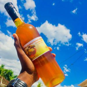  Miel Bio D'haïti - produits sucrés miel bio qui vient 100 % de la ruche des abeilles,  elvage en haïti disponible en gallon delicieux 