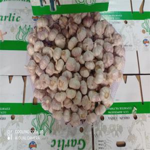  Ail Frais Qualite Garantie - fruits et légumes recherchons clients pour ail frais,  pas sérieux s'abstenir- différents calibres disponibles - qualité garantie