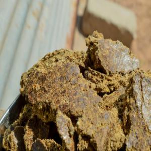  Recherche Des Acheteurs De Tourteau De Coton - aliments pour animaux nous recherchons des acheteurs de tourteau et huile de coton au bénin,  nous voulons travailler les propriétaires des fermes et provendérie  --