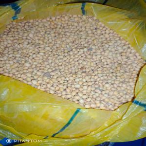  Gros Stock De Soja - céréales je dispose de plus de 5000 tonnes de soja camerounais pret à etre commercialisé pour qui besoin. commande acceptable à partir de 500 tonnes. le prix du qui est de 380 fcfa / kg.--mon soja est le plus apprécié au pays par nos producteurs spécialisé dan