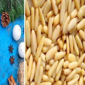  Pignon De Pin - fruits secs et graines grillées bonjour,  une petite industrie alg&eacute;rienne de pignon de pin cherche un client qui peut acheter notre petite production de 30kg par semaine possibilit&eacute; de emball&eacute; le produit selon la demande du client avec impression d'&eacute;tiquettes / exp&eacute;dition par avion (dhl / fedex /.