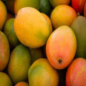  Mangues - fruits et légumes les bienfaits de mangues séchées 100% mangues--une coupe faim excellente--un réservoir des minéraux et vitamines--riche en fibre pour la digestion--c’est l’un des fruits les plus riches en carotène--la mangue est chargée d’antioxydants,  qui lui donnent un ef