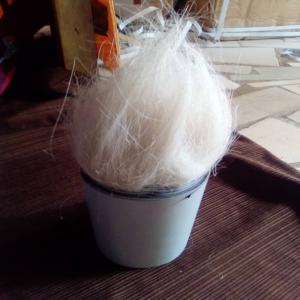  Poils De Moutons - bois charbon fibre bonsoir monsieur, --je recherche pour un partenaire bas&eacute; &agrave; cotonou des acheteurs qui sont int&eacute;ress&eacute;s &agrave; acheter des poils de moutons.