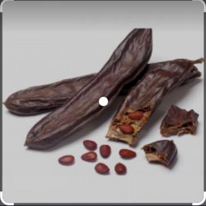  Carob Seeds - seed plant seed we sell a big carob seeds quantity from morocco if you are interested do not hesitate to contact us. 