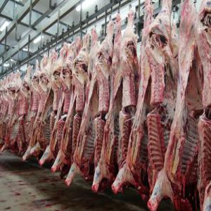  Request For Quotation For Beef - meat and eggs we have buyers in china for beef- carcasses in 4,  6 or 23 cuts,  both bone-in and boneless.----the form of payment would be by dlc and it would be an annual contract,  starting with 5 or 10 containers and could reach 100 containers per month.----there are buyers who do not want meat from the cebu bree