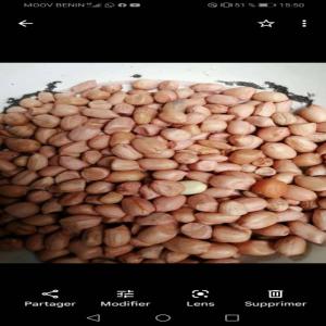  Vente D'arrachide - fruits secs et graines grillées bonjour,  nous sommes une entreprise spécialisée dans la production,  la transformation,  vente et exportation de produits agricoles. nous disposons d'une grande quantité d’arachide de très bonne qualité,  nous recherchons des clients potentiels. merci cordialement