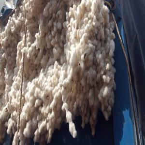 Vente de coton - autres nous sommes une société basée au bénin qui vend les déchets de coton,  les graines et les dérivés de coton. nous cherchons des clients à qui nous pouvons livrer de grandes quantités de coton déchets. 