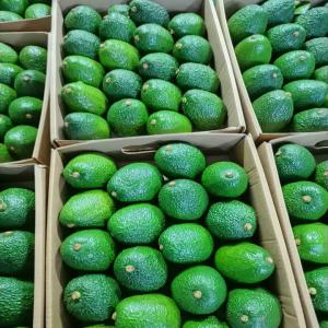  Exportateur De Fruits Et Légumes Frais Du Kenya - fruits et légumes entreprise spécialisée dans l'exportation de fruits et légumes du kenya. nous recherchons des importateurs de fruits et légumes,  et/ou des partenariats pour la production et l'exportation à long terme.