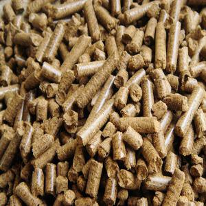  Tourteaux De Coton, De Soja, De Maïs Et De Cajou - aliments pour animaux vous recherchez du tourteaux de coton,  de soja,  de cajou ou de maïs d'excellente qualité?--vous recherchez un fournisseur capable de vous garantir la traçabilité de ses produits,  la sécurité des transactions,  le respect des délais et la stabilité des 