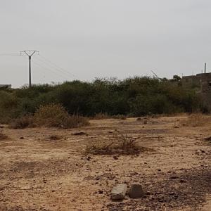  Vente De Terrain - mine terrain concession vente d'un terrain de  15 hectare et 8 hectares en cote d'ivoire à songon nord idéal pour un hôtel,  restaurant et espaces de loisirs en pleine nature. possibilité d'eau et courant. document disponible(attestation villageoise)          merci de me contacté