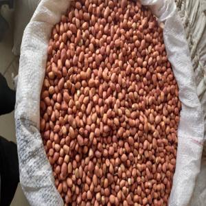  Vente D'arachide - fruits secs et graines grillées bonjour,  nous sommes une entreprise spécialisée dans la production,  la transformation,  vente et exportation de produits agricoles. nous disposons d'une grande quantité d arachide de très bonne qualité,  nous recherchons des clients potentiels. merci cordialement 