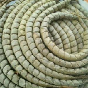  Bâtons De Manioc Disponibles - féculents productrice de manioc au cameroun,  je fais également dans sa transformation en bâton de manioc, . je recherche des clients pour exportation.