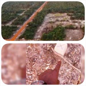  Vente De Plus Lots En Bordure De Mer - mine terrain concession bonne opportunité à saisir pour investisseur immobilier----plusieurs terrains lotis de 500 à 600m² à jacqueville avagou en bordure de la mer(plage) à 50 m.--les sites sont approuvés par le ministère de la construction depuis 2016. le guide villageois 
