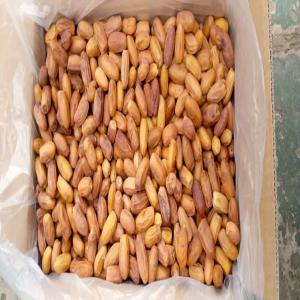  Vente Dattes En Gros - fruits et légumes bonjour,  nous sommes une société de commerce international basé en tunisie,  nous exportons de dattes en gros en carton de 10kg de bonne qualité. veuillez nous contactez par email ou whatsapp pour plus d'information.