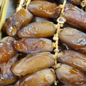  Vente Dattes Deglet Noor Tonnes - fruits et légumes 2 tonnes de dattes deglet noor disponible. dernière récolte. type- 3arjoun.--conditionnement - 1, 5kg,  2 kg et 3 kg.--