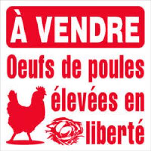  Nouveau Produit Disponible - publicité-nouveaux produits tout mes produits sont de la qualit&eacute;. --mon atout est que j'aime beaucoup d'aide la client&egrave;le.  mon activit&eacute; est bas&eacute; sur la prestation des services et commerce g&eacute;n&eacute;rale 