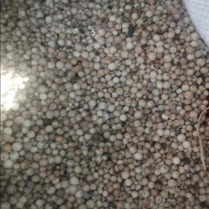  Épices- Poivre Blanc De Penja - épices aromates nous vous fournissons du poivre blanc de penja du cameroun. --le meilleur poivre du d'afrique. --plusieurs tonnes disponible!! --2000tonnes ----