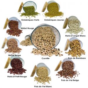  Fruits Et Légumes Séchés Bio De Madagascar - fruits et légumes nous sommes une soci&eacute;t&eacute; exportatrice de grains secs(haricots,  mais,  black eyes....) ,  fruits et l&eacute;gumes s&eacute;ch&eacute;s,  &eacute;pices - poivre sauvage,  girofle,  gingembre moulu,  ail moulu,  oignon en poudre,  tomate en poudre,  citron en poudre ..... a la recherche de client 